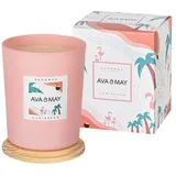 AVA & MAY Bahamas Duftkerze 180 g rosa