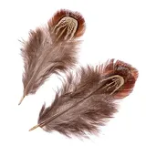 Brunnen 216617982 Fasanenfedern 3 / 9 cm natur