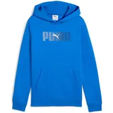 Puma Jungen ESS Logo Lab Hoody FL B Sweatshirt (1er-Pack)