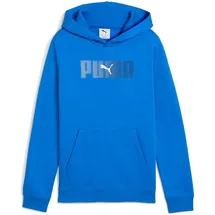 Puma Jungen ESS Logo Lab Hoody FL B Sweatshirt (1er-Pack)