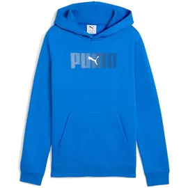 Puma Jungen ESS Logo Lab Hoody FL B Sweatshirt (1er-Pack)
