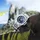 Swiss Alpine Military Typhoon 7005.1135 Edelstahl 42,0 mm