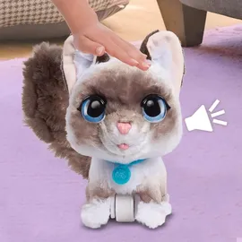 Hasbro FurReal Friends Kitty 20 cm Grau/Weiß/Mehrfarbig