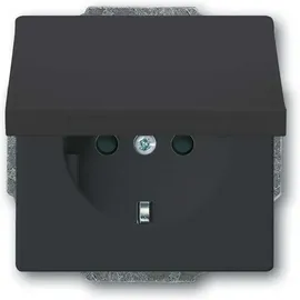 Busch-Jaeger Steckdoseneinsatz 20 EUKB-81 Anthrazit 1 St.