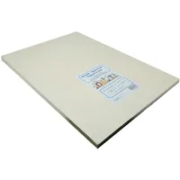 Neudeck Bastelsperrholz Pappel DIN A2 59,4 x 42 cm 4 mm