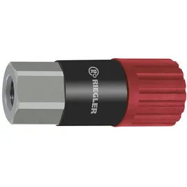 Riegler Kupplung Dreh-Sicherheitskupplung NW 8, ISO 6150 C