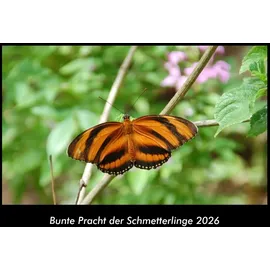 Vero Kalender Bunte Pracht der Schmetterlinge 2026 Fotokalender DIN A3