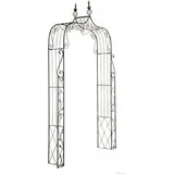 Rosenbogen Aurora bronze