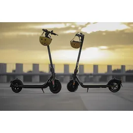 Segway-Ninebot F20D schwarz