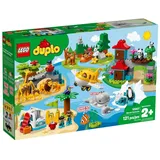 LEGO® Duplo 10907 Tiere der Welt NEU OVP