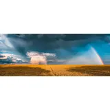 Ravensburger 12000291 Puzzle 1000 Teile