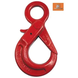 TRIZERATOP Sicherheits-ösenhaken, Selbstschließend Gk8 10 Mm 3,15t