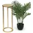 DanDiBo Ambiente Blumenhocker 50 x 50 cm Gold