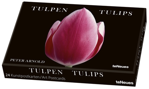 Tulpen Kunstkartenbox