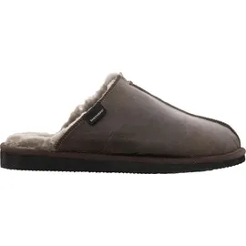 SHEPHERD Hugo Braun 40