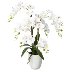 Kunstpflanze Orchideen Weiß