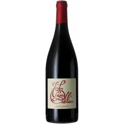 Autour du Cinsault 2024 - Les Vignes Oubliées