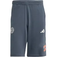 adidas FC Bayern München Shorts 2025/26 grau Herren Gr. XL