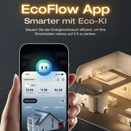 EcoFlow Stream Ultra X inkl. Stream AC Pro + Kabel