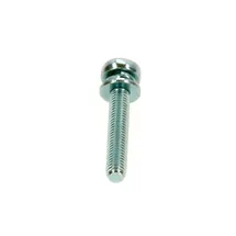 Buderus Schraube M5 x 30 mit Scheibe