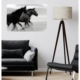 Queence Wandsticker Horses (1 St), Selbstklebend, kinderleichte Anbringung grau|schwarz 150 cm x 90 cm x 0,1 cm
