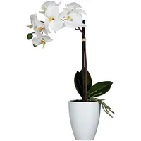 Mica decorations Mica Kunstpflanze Phalaenopsis im Topf weiß, 42