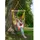 CONACORD Hängesitz Bahia 85 x 160 cm Bunt