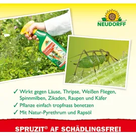 NEUDORFF Spruzit AF Insektizid 500 ml