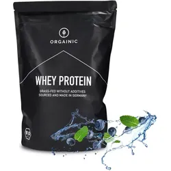 Orgainic Whey Protein Blaubeere bio