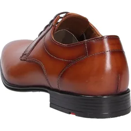 LLOYD Osmond braun 40,5