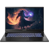 Captiva Nexoc Laptop 43,9 cm (17.3") Full HD Intel® CoreTM i7 8 GB DDR3-SDRAM 500 GB HDD NVIDIA® GeForce® GTX Wi-Fi 4 (802.11n) Schwarz
