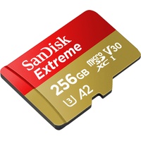 Extreme 256 GB microSDXC 160MB/s UHS-I, Class10, U3, V30, A2
