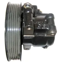 Lizarte 04.05.1120 Hydraulikpumpe Riemenscheiben-Ø: 137mm, Rippenanzahl: 6