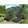 Vitavia Apollo 6200 smaragd HKP 4 mm 6,2 m2 inkl. Fundament