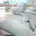 Bettwäsche in platin Gr 40