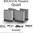 Sony Bravia Theatre Quad HTA9M2 grau