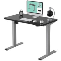 FLEXISPOT Schreibtisch Basic-Series, Elektrisch höhenverstellbarer Schreibtisch, 2- Fach-Teleskop grau|schwarz 120 cm x 80 cm