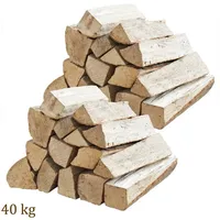 FLAMEUP Brennholz Buche 40 kg