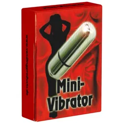 Silberner Mini-Vibrator, Unterwegs & Zu Hause (1 Stück)