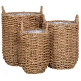 VCM Ebuy24 - Hue Pflanzenschutz Satz von 3 Stk. Garten natur.