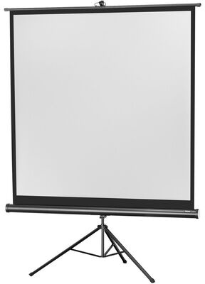 CELEXON Stativleinwand Economy 184 x 184 cm