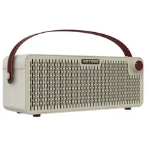 Hotone Pulze Luna ❘ 30 Watt Practice Amp ❘ 200 User Presets ❘ Bluetooth