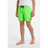 QUIKSILVER Everyday Volley YTH 14 grün 16