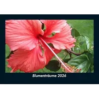 Vero Kalender Blumenträume 2026 Fotokalender DIN A5 von Tobias