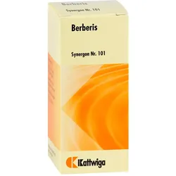 Synergon Kompl Berberis101