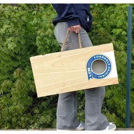 Bex Cornhole Original