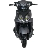 GT UNION e-Adler 45 2,4 kW 45 km/h Grau