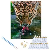 LaCute Malen nach Zahlen Leopard Malset – Kreatives Malen nach Zahlen mit Rahmen 30x40cm (Komplettes Malset: Kreatives Malen nach Zahlen mit Rahmen und Farben, Malen nach Zahlen Set: Leinwand 30x40cm, Acrylfarben, Pinsel, Rahmen), Leopard Malset: Hochwertige Leinwand 30x40cm mit Acrylfarben & Rahmen