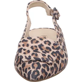 Paul Green Ballerinas in Leopard | Gr.: 36