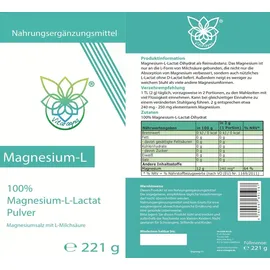 VITARAGNA Magnesium L-Lactat Pulver 180 g
